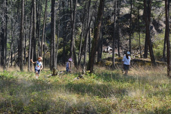 Geocaching in Ellison Provincial Park