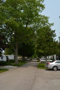 west-side-of-carsons-camp