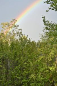 rainbow-at-pike-lake-provincial-park