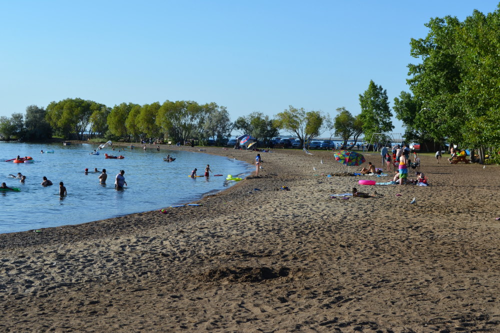 scattered people enjoying sandy beach